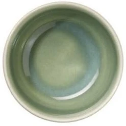 ASA Schale Saisons Agave, 9 Cm