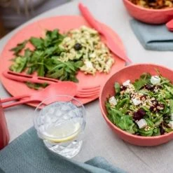 Koziol Teller Groß, 4er-Set In Coral -KitchenAid Geschäft 5005 5006 5004 CLUB 8003 7687 704 7