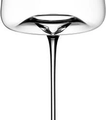 Zieher Weingläser Intense Vision, 2er-Set