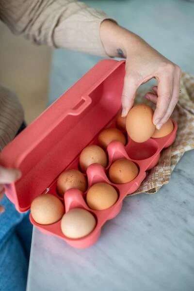 Koziol Eierbox In Coral Für 10 Eier 5 Koziol Eierbox In Coral Für 10 Eier – Bild 3