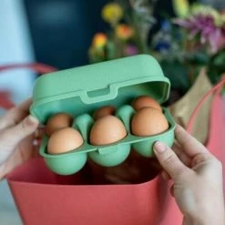 Koziol Eierbox In Grün Für 10 Eier -KitchenAid Geschäft 7186 EGGS TO GO MINI shop 14 1