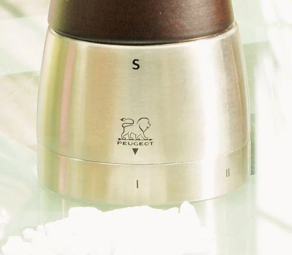 PEUGEOT Salzmühle Daman U′Select In Schokolade 16 Cm 8 PEUGEOT Salzmühle Daman U′Select In Schokolade 16 Cm – Bild 6