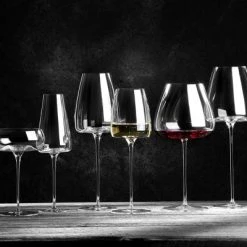 Zieher Weingläser Intense Vision, 2er-Set -KitchenAid Geschäft SF VISION 5480 09 1